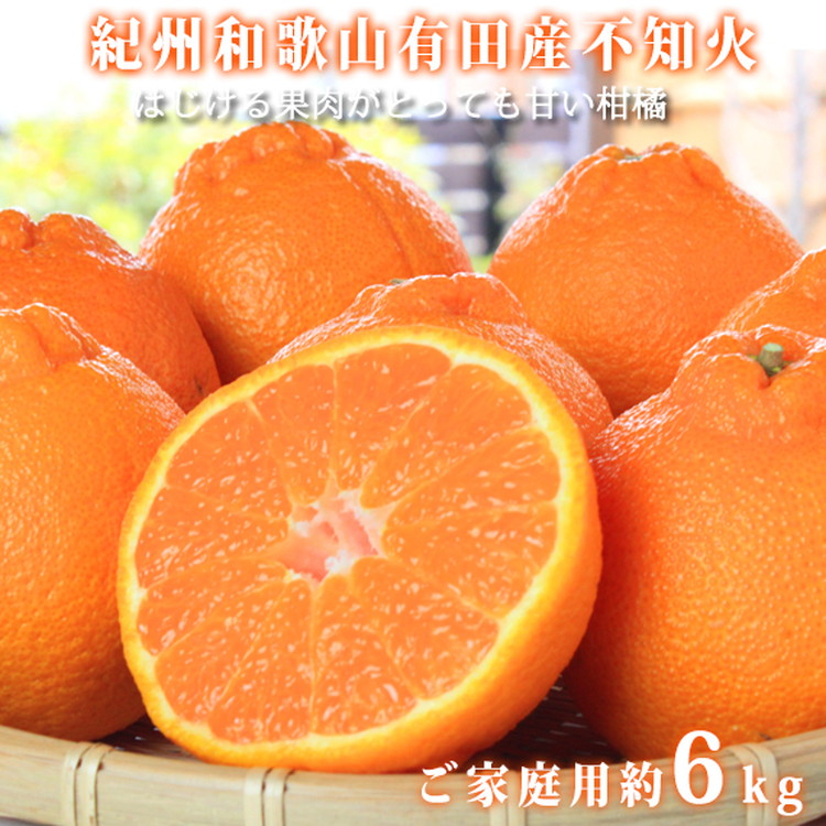 【ご家庭用訳有り】紀州有田産不知火(しらぬひ)約6kg ※2026年2月中旬～3月中旬頃に順次発送予定