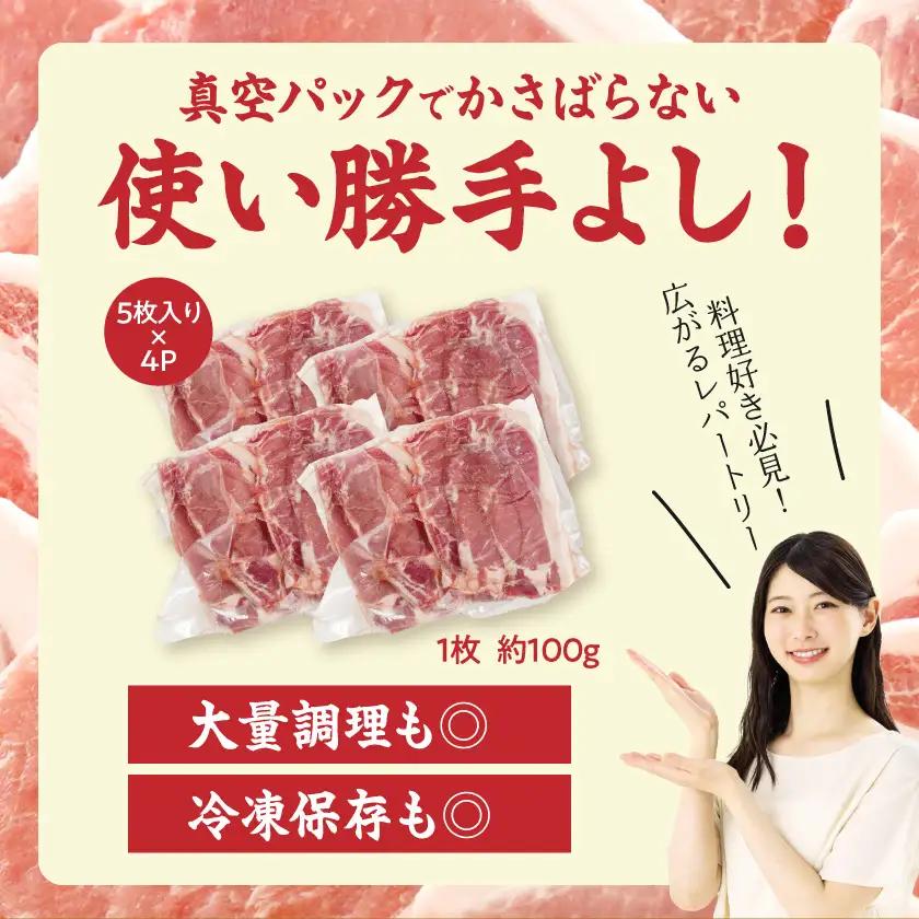 豚ロースとんかつ・ソテー用20枚 - 〔AA-2506〕_ (都城市) 豚肉 100g×5枚×4パック 真空パック 冷凍保存