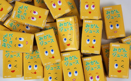 果汁100％ 紙パック みかんジュース 125ml×40本＜131-010_5＞