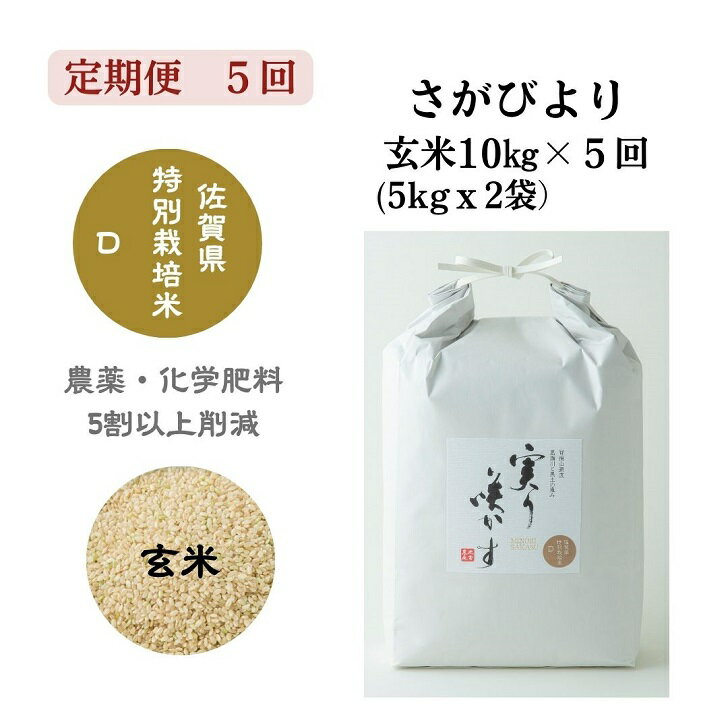 【ふるさと納税】【定期便5回】「実り咲かす」特別栽培 さがびより 玄米 10kg（計50kg）：C144-011