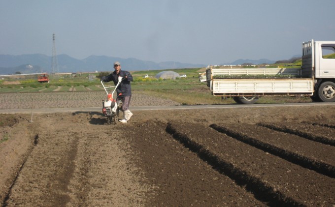 お米5kgと季節のお野菜セット