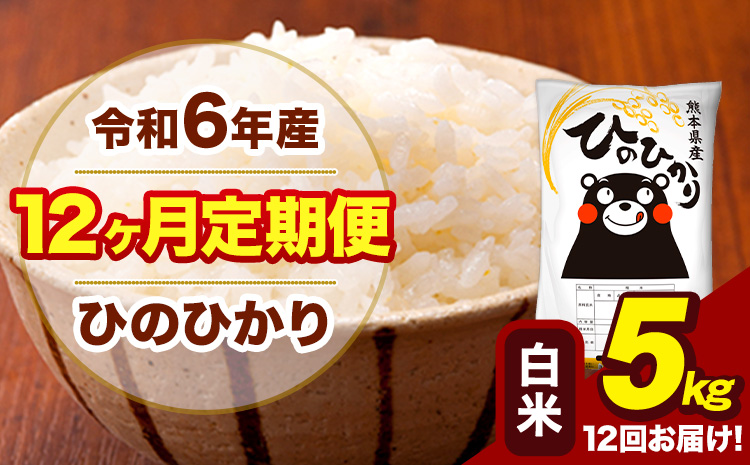 令和6年産 【12ヶ月定期便】 白米 米 ひのひかり 5kg《お申し込み月の翌月から出荷開始》熊本県 大津町 国産 熊本県産 白米 送料無料 ヒノヒカリ こめ お米---hn6tei_180000_5kg_mo12_oz_h---