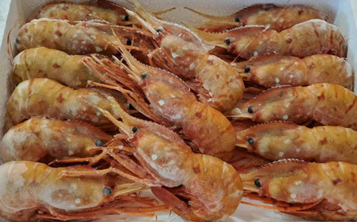 8-048-001　【北海道産】冷凍ジャンボボタンエビ800g（7尾～11