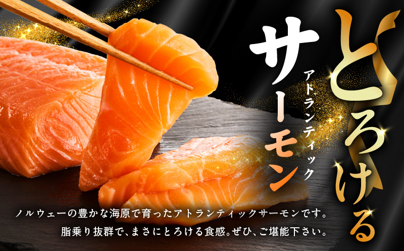 アトランティックサーモン 食べ比べ 合計 1.8kg（スライス1kg／柵 800g）