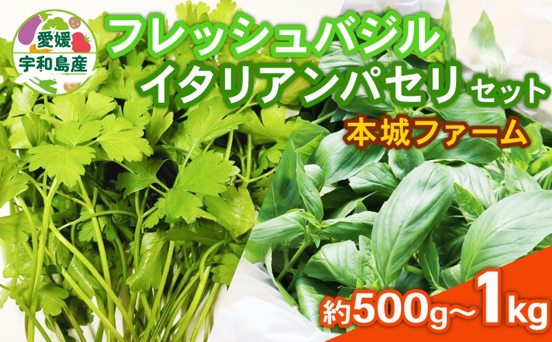 
                  フレッシュ バジル イタリアンパセリ セット 計500g~計1kg 選べる 内容量 本城ファーム ハーブ 生バジル 生パセリ パセリ ばじる はーぶ 香草 水耕栽培 野菜 やさい 美味しい 新鮮 イタリア料理 調味料 スパイス 農家直送 産地直送 数量限定 国産 愛媛 宇和島
                