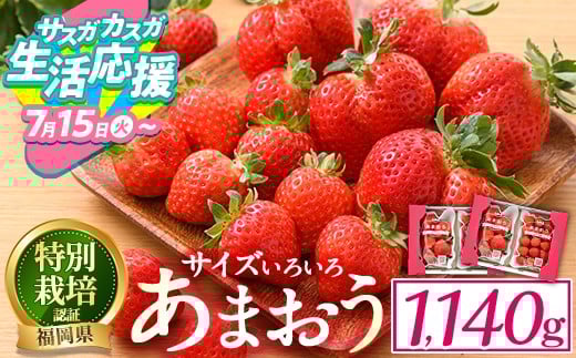 
            【期間限定】＜予約受付中！2025年12月中旬より順次発送予定＞＜不揃い＞あまおう(計1.14kg・285g×4P) 苺 いちご イチゴ フルーツ 果物 ヨーグルト ジャム スムージー 冷蔵 特別栽培 福岡県 国産＜離島配送不可＞【ksg1222】【うるう農園】
          