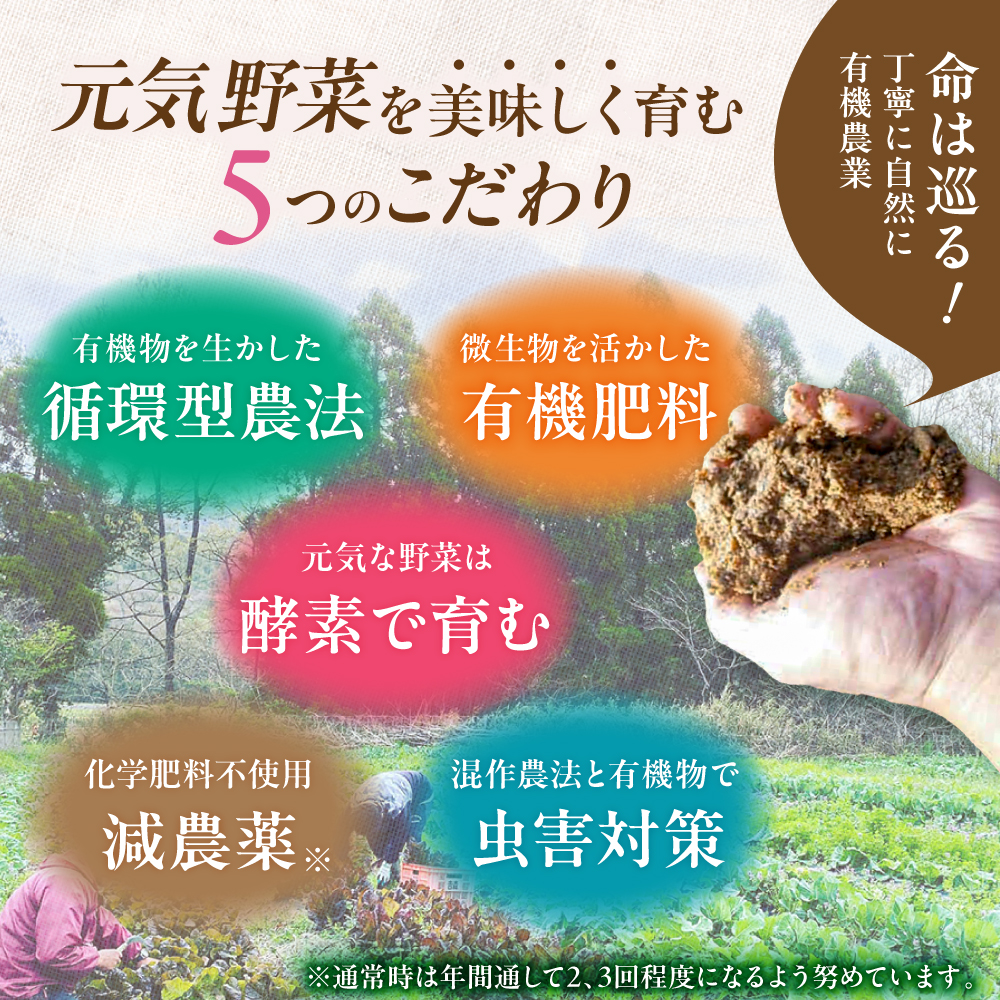 【16品 / 24回定期便】農薬に頼らない！カラダにやさしい「よしのがり野菜」セット（ラージ）【吉野ヶ里あいちゃん農園】 [FAA011]