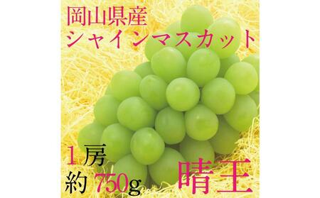 [HS]  9月・10月発送 シャインマスカット 晴王 1房 約750g ｜ シャインマスカット