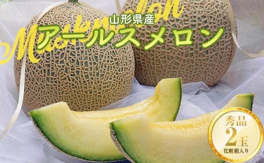 《2025年先行予約》山形県産 アールスメロン 2玉 3kg  青肉メロン メロン 青肉 デザート フルーツ 果物 くだもの 果実 食品 山形県 FSY-0821