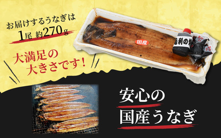 国産 活うなぎ蒲焼 有頭 約270gを2尾（計540g）2～4人前《ご寄付後、発送直前に1つ1つ手焼き！》／ 高級 特大 鰻 ウナギ 蒲焼き 老舗魚屋 タレ レンジ 温めるだけ 簡単 土用の丑 うな重