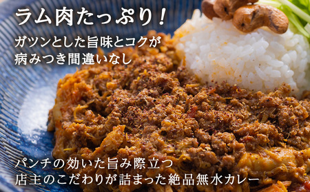 175DENOスパイスラムカレー 6袋（無水カレー180g×6）