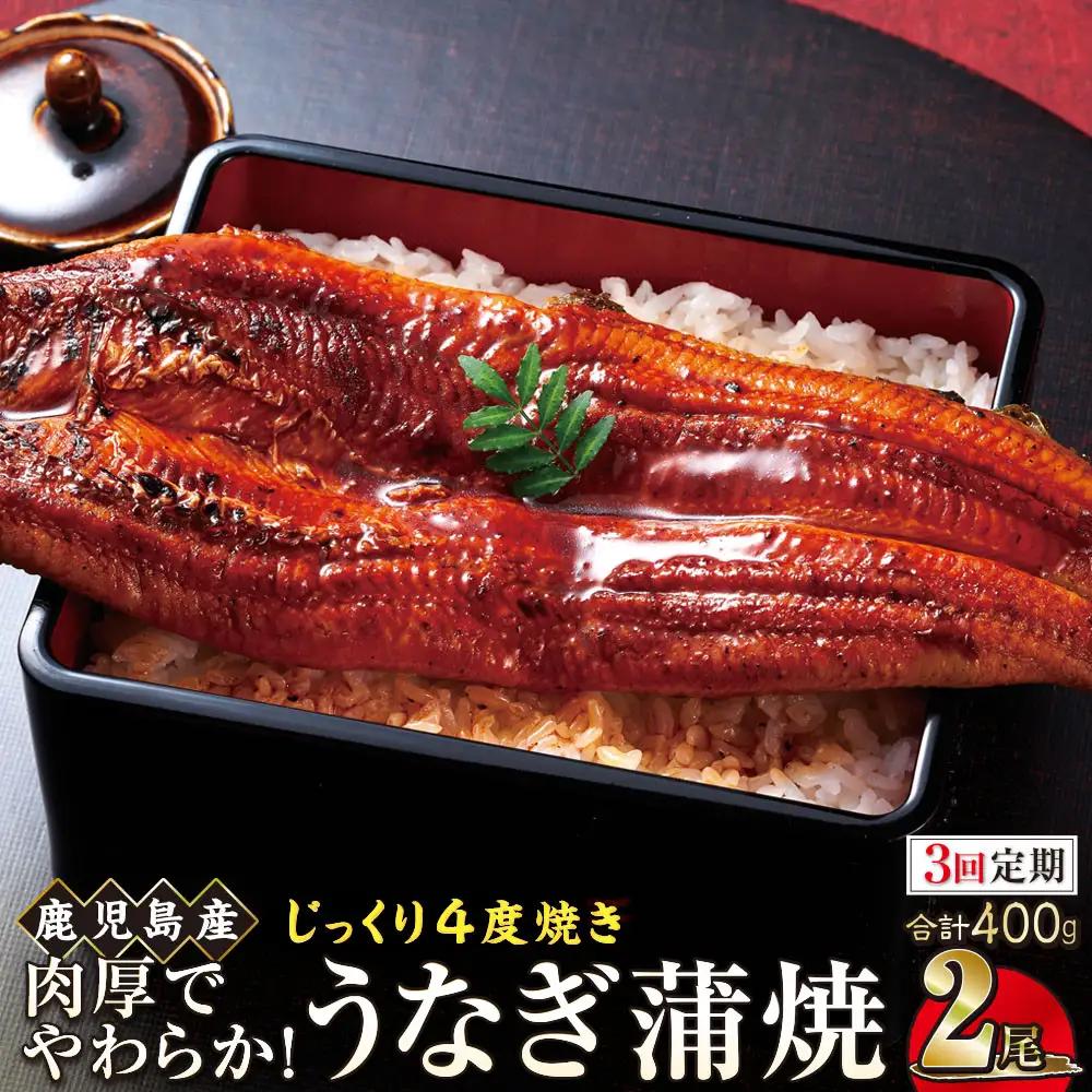 【3回定期】うなぎ 蒲焼 200g×2尾【鹿児島産】地下水で育てた絶品鰻