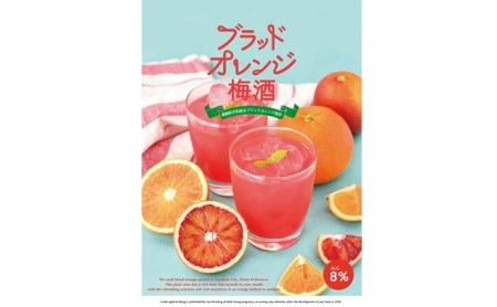 ＼10営業日以内発送／ 梅酒 ブラッドオレンジ梅酒 1,800ml 名門サカイ 梅 うめ うめしゅ ブラッドオレンジ ブラッド オレンジ 飲料 柑橘 果実酒 お酒 アルコール リキュール ロック 水割