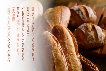 北八ヶ岳山麓の美味しい水と国産小麦で作る、毎日食べたいパンセット　３カ月定期便〔TB-03〕