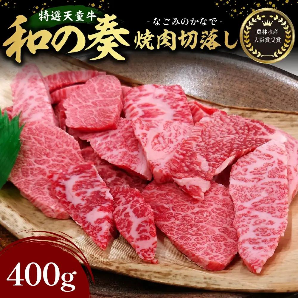 農林水産大臣賞受賞 特選 天童牛 和の奏 焼肉 切落し 400g 山形牛 08-27-002
