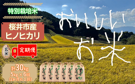 JBC-2.【お米の定期便】＜特別栽培米＞桜井市高家産 ヒノヒカリ（玄米）5kg×6回（隔月）