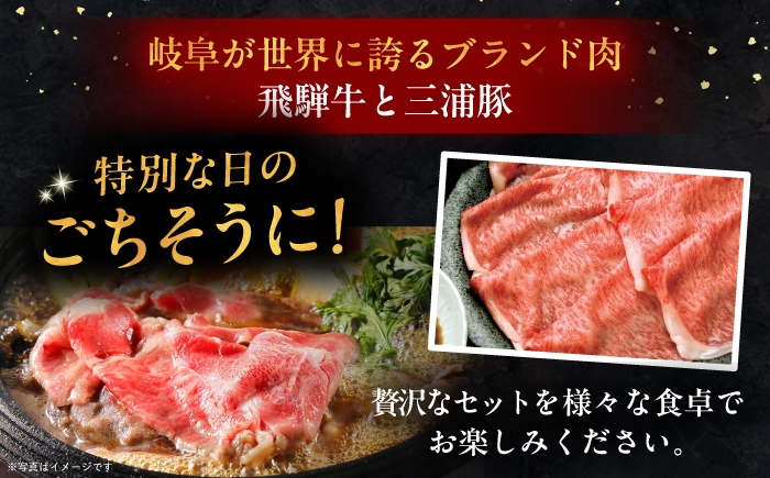 飛騨牛 牛肉 和牛 肉 三浦豚 豚肉 焼肉 BBQ バーベキュー ロース カルビ 贈答 ギフト おすすめ 人気 岐阜県 恵那市