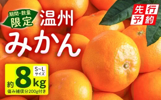 《2025年発送先行予約》【期間・数量限定】温州みかん8kg(傷み補償分200g付き)_M249-001-02