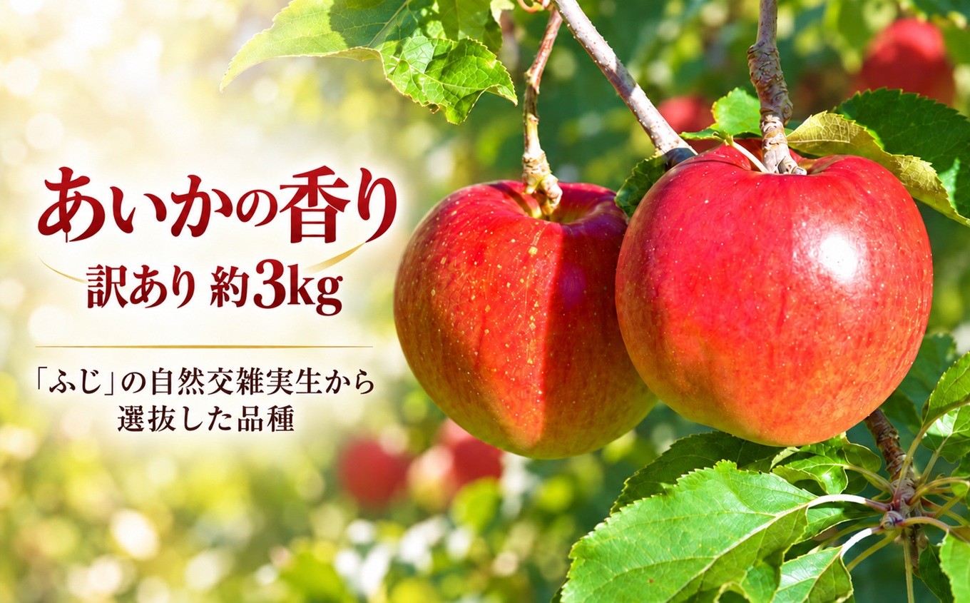 
                  訳あり りんご 令和8年11月中旬発送 傷等訳あり・ご家庭用 甘い! 希少! 幻のりんご あいかの香り 約3キロ（りんご・リンゴ・林檎）伊那市 長野県 信州【010-e2】
                