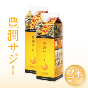 ジュース サジー ジュース[1000ml 2本 紙パック]