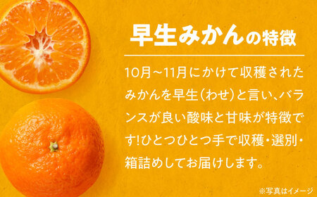 【先行予約】【11月上旬から順次発送】本場ならではの品質！柑橘王国愛媛産温州みかん 早生 約4kg　愛媛県大洲市/有限会社カーム/カームシトラス[AGBW003]みかんミカン果物みかんミカン果物みかん