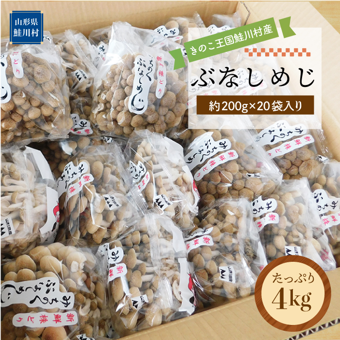 きのこ王国鮭川村産 ［ぶなしめじ］ たっぷり4kg（約200g×20袋入り）