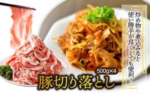 KU405-3-2601＜2026年1月発送分＞宮崎県産豚バラエティー4.1kgセット