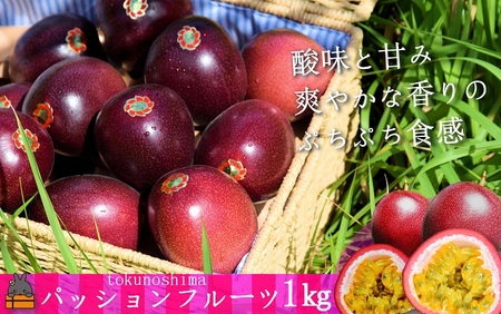 《今が旬！》太陽が育てた徳之島産パッションフルーツ（1kg） フルーツ 徳之島 奄美 果物