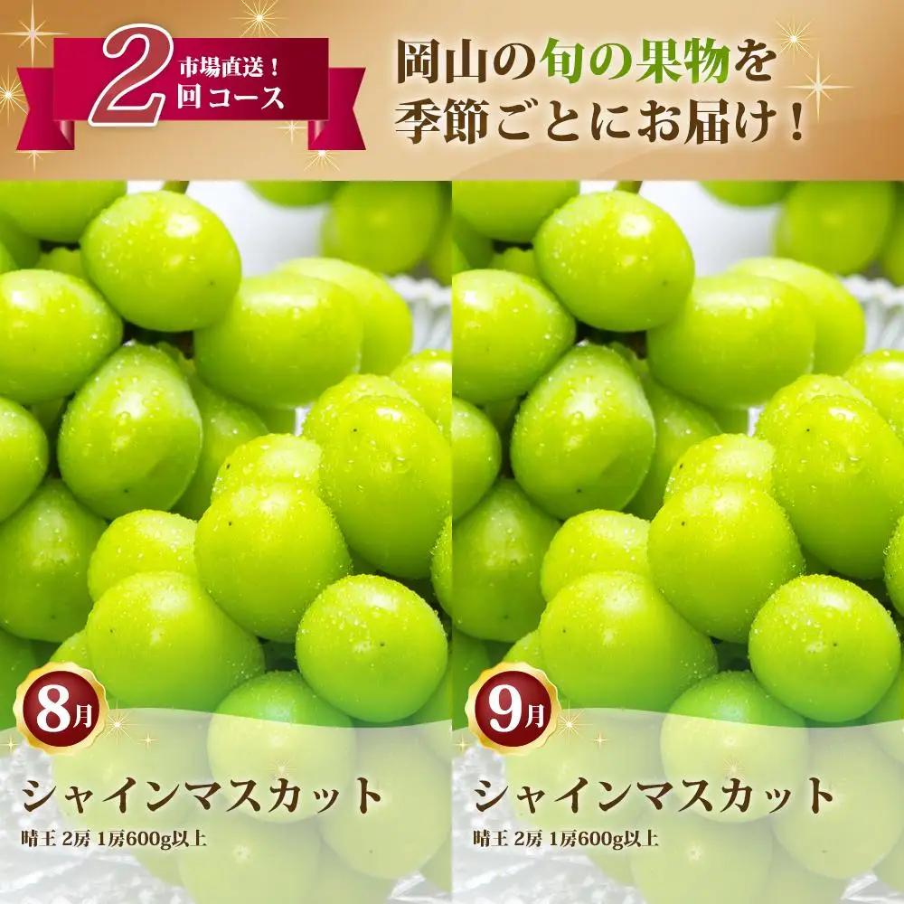 ぶどう 定期便 2027年 シャイン マスカット 晴王 各月2房（1房600g以上） 2回コース マスカット ブドウ 葡萄  岡山県産 国産 フルーツ 果物 ギフト