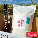 【ふるさと納税】【令和6年産新米！】 特別栽培米 夢しずく 5kg 白米～山口さんちの贈り物～【y'scompany】米 コメ お米 佐賀県産 白石町産 [IAS007]