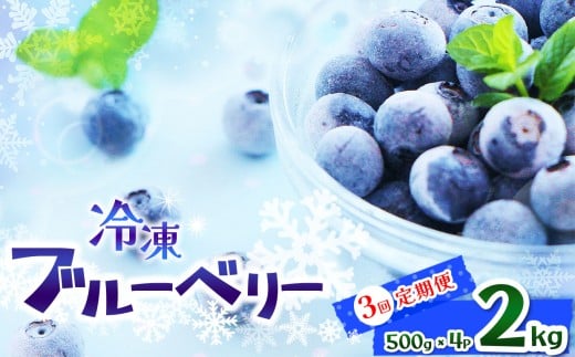 【定期便3回】完熟 冷凍ブルーベリー  約 2kg | 完熟 冷凍 Blueberry ブルーベリー ベリー 不揃い 果物 くだもの 健康意識 美意識 ヨーグルト スムージー 栃木県 那珂川町 送料無料