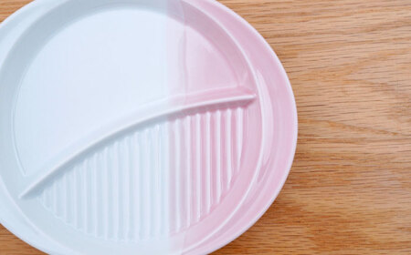 【波佐見焼】仕切り皿 ハーフカラー ピンク 2個セット【団陶器】[PB210]