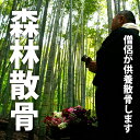 【ふるさと納税】森林散骨 ふるさと納税 供養 お墓 森林 散骨 献花 お祈り 先祖 命日 お盆 お彼岸カンシャ 千葉県 大多喜町 送料無料 SK55002