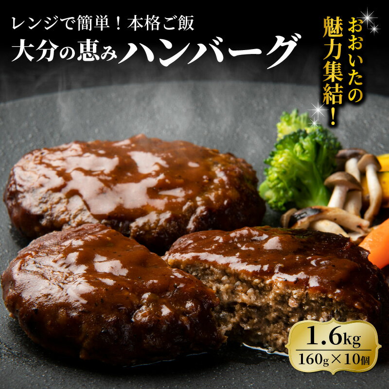 【ふるさと納税】大分の恵みハンバーグ 1.6kg 160g×10個 1600g デミグラスソース 個包装 牛肉 豚肉 ハンバーグ おかず お弁当 惣菜 冷凍 大分県産 九州産 国産 共通返礼品 簡単調理 大分県産 送料無料