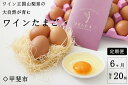 【ふるさと納税】【定期便】コクがあり旨味が強い 絶品ワインたまご (20個入り×6カ月) 卵 たまご 生卵 鶏卵 山梨県甲斐市　定期便・ 食材 食卓 万能食材 卵料理 玉子焼き オムレツ 玉子かけご飯 おかず 料理 調理