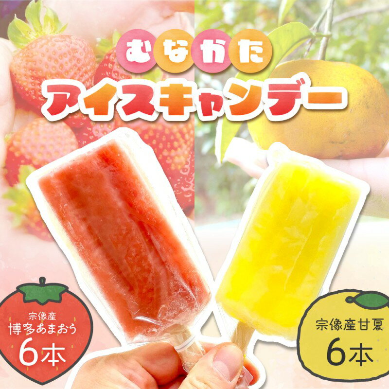【ふるさと納税】【道の駅むなかた】 むなかたアイスキャンデー（宗像産 博多あまおう／宗像産 甘夏）各6本（計12本）_HA1021 送料無料お菓子 アイス おやつ 冷凍 お子様 冷たい フルーツ 冷菓 氷アイス シャーベット