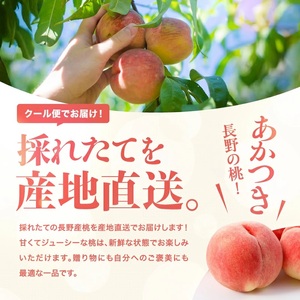【7月下旬より順次発送】南信州産「桃」あかつき 約2kg 5～9玉｜長野県 飯田市