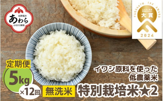 【先行予約】【令和6年産】 《定期便12回》特別栽培米 コシヒカリ 5kg × 12回 （計60kg） 無洗米 低農薬 / 北陸 福井県産 あわら市 ブランド米 白米 お米 コメ 特栽米 新米 ※2024年9月下旬以降順次発送