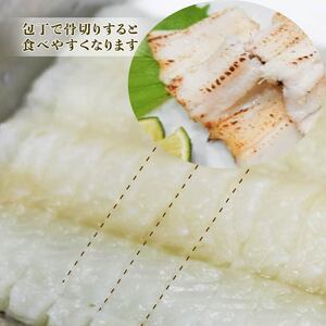 あなご開き 2～3パック(計800g) あなご 穴子 アナゴ 白焼き 蒲焼 お吸い物 天ぷら 煮穴子 和食 海産物 味噌汁 ごはん 夕飯 おかず 大船渡 三陸 岩手県 国産