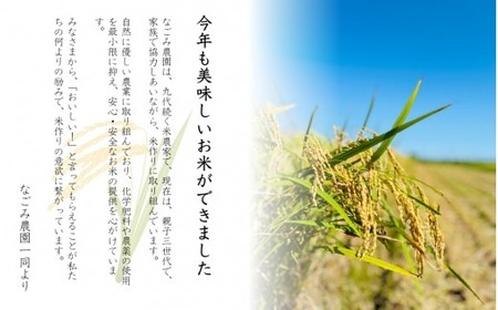 【令和7年産米】 なごみ農園のコシヒカリ 5kg (5kg×1袋) 白綬有功章受章 新潟 | 白米 精米 こしひかり お米 おこめ コメ こめ 新潟県 五泉市 なごみ農園
