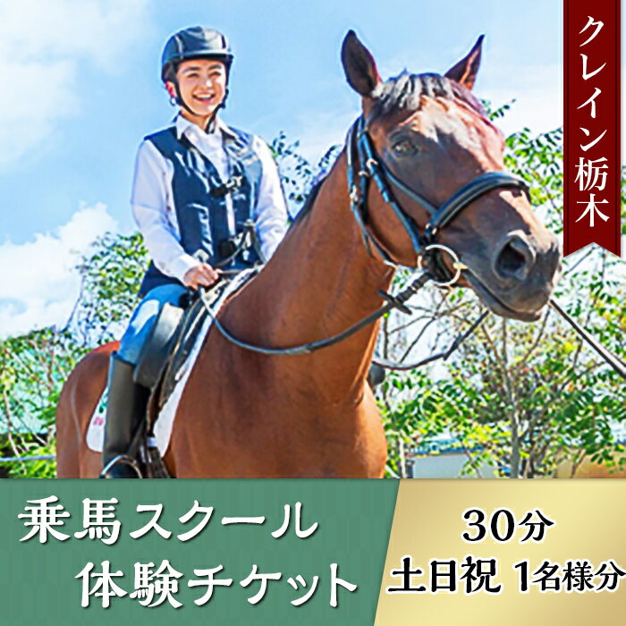 【ふるさと納税】CR03乗馬スクール体験チケット（30分・土日祝1名様分）【クレイン栃木】