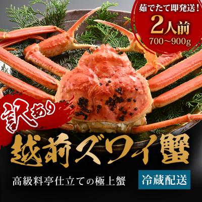 ふるさと納税 福井市 【12/20〜年内発送】カニ料理店の訳あり「茹で越前がにズワイ蟹」中1杯(700〜900g) 足折有