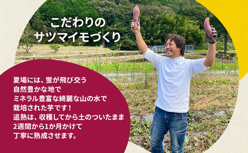 【訳アリ】冷凍 やきいも 500g 紅はるか お試し 不揃い imo.dot