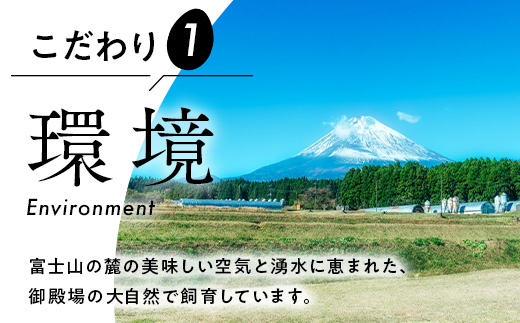 【定期便6ヶ月】《毎月5日にお届け》御殿たまご 赤たまご 24個入 （破損保障含む）もみがら入 ｜ 卵 タマゴ 玉子 たまごかけご飯 生卵 鶏卵 卵焼き 国産 御殿場産 ※北海道・沖縄・離島への配送不