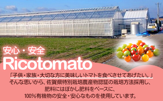 【4回定期便】【先行受付】2027年1月より順次発送 カラフルミニトマト6種1kg 農家直送 人気 佐賀県鹿島市 たにぐちファーム Ricotomato～とりこになるトマト～ F-25