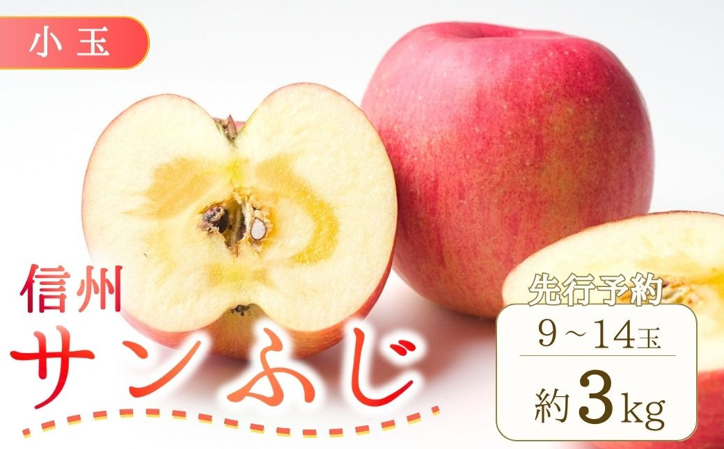 
            【2025年先行予約】りんご サンふじ 小玉 約3kg (9~14玉)  林檎 果物 フルーツ 長野県産 千曲市 信州
          