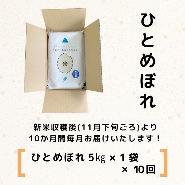 【令和5年産新米予約】<10ヵ月定期便>【無洗米】ひとめぼれ5kg×10回