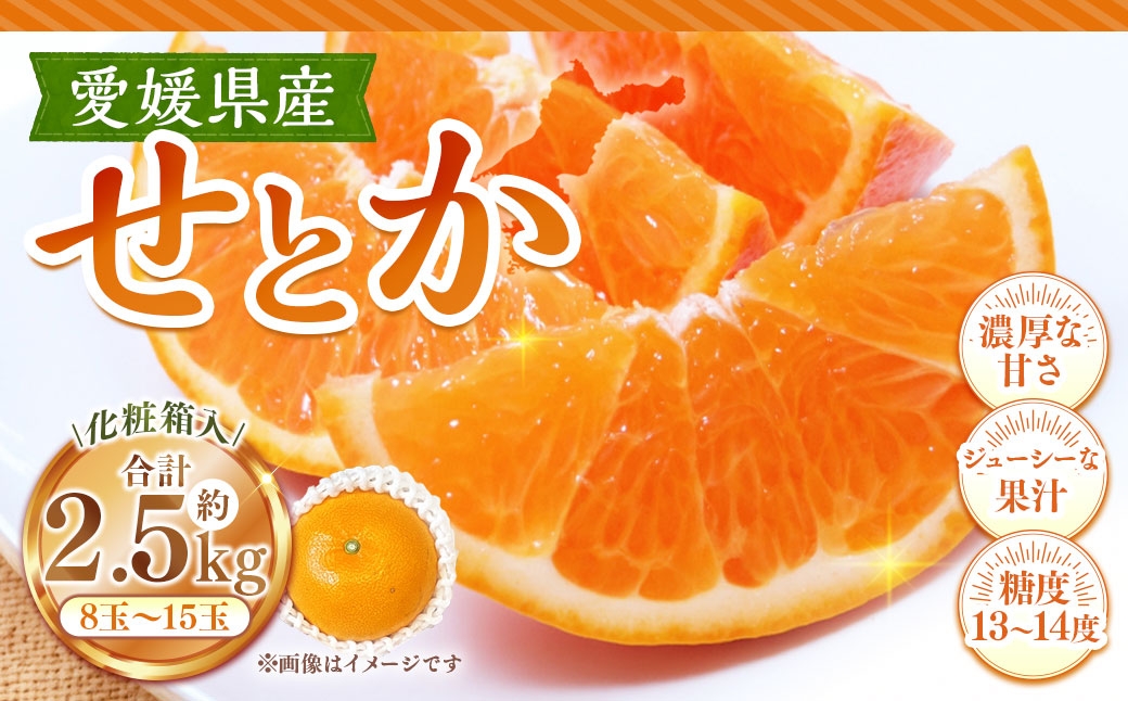 
                  せとか 約2.5kg みかん ミカン くだもの 果物 フルーツ 柑橘 柑橘系 柑橘類 果実 果汁 果肉 国産 【 2027年2月上旬～3月上旬発送予定 】 ( 1126 )
                