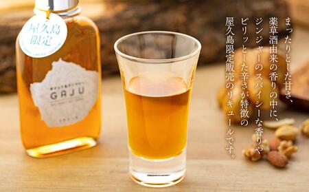 屋久島限定リキュール GAJU（ガジュ）100ml×3本セット＜本坊酒造 屋久島伝承蔵＞
