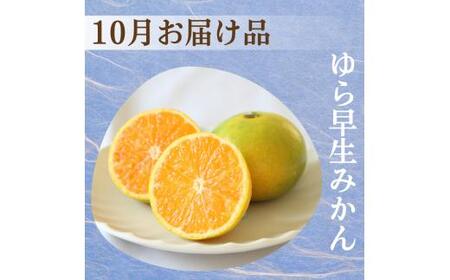 柑橘 定期便 SS【全3回】厳選【 和歌山県 有田 】 ※北海道・沖縄・離島への配送不可 / 定期便 フルーツ ゆら早生みかん 有田みかん 3回 【ikd050-ss-p】